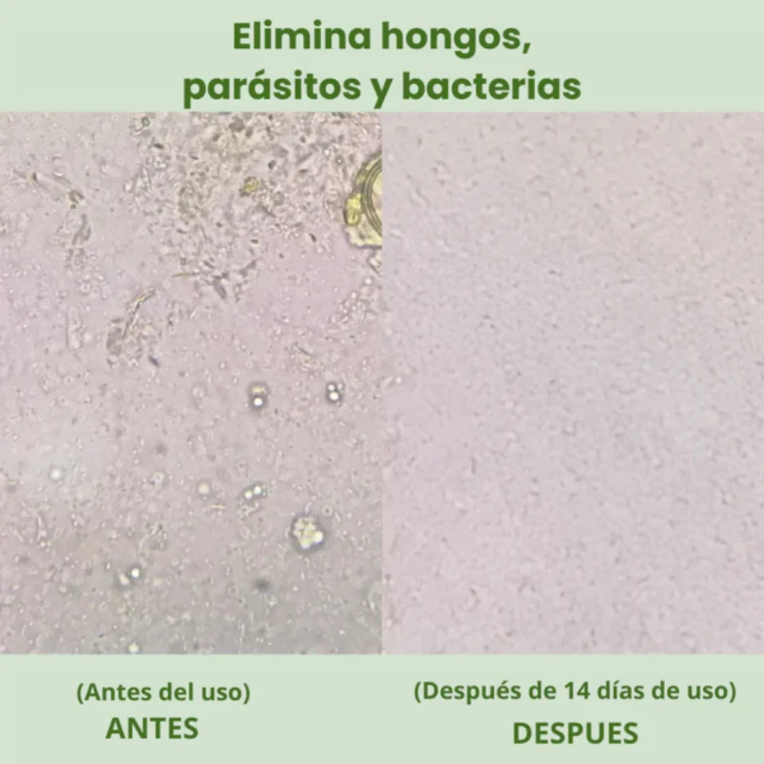 Seravia OregaMix – Aceite de Orégano Medicinal Potenciado
