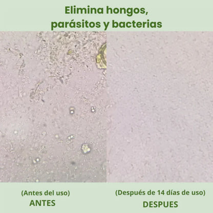 Seravia OregaMix – Aceite de Orégano Medicinal Potenciado